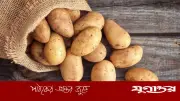 আলু: পুষ্টিকর শক্তির উৎস নাকি স্বাস্থ্য ঝুঁকির কারণ?