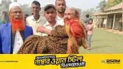 নাতির কোলে চড়ে শতবর্ষী বৃদ্ধার শেষ ভোট: নেত্রকোনার মদনে ইতিহাসের অংশ