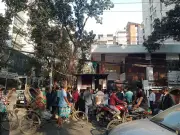 বিএনপি চেয়ারম্যানের কার্যালয়ে বিজয়ের আনন্দে নেতা-কর্মীদের ভিড়, গুলশানে উৎসবের আমেজ