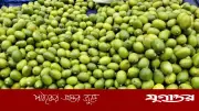 বগুড়ায় রমজানের আগেই লেবুর দাম চড়া, ক্রেতাদের মধ্যে অসন্তোষ