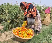 বাংলাদেশে অনলাইন শিক্ষার প্রসার: নতুন সম্ভাবনা ও চ্যালেঞ্জ