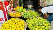 শ্রীমঙ্গলে লেবুর দাম আকাশচুম্বী, হালি বিক্রি হচ্ছে ৬০ থেকে ১৫০ টাকায়