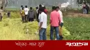 জয়পুরহাটে যুবদল নেতার বিরুদ্ধে কৃষকের সরিষাখেত কর্তনের অভিযোগ