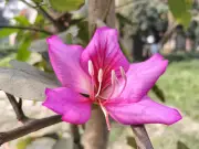 বাংলাদেশের দৈনন্দিন জীবনের একঝলক: ১১টি চিত্রে দেশের বিভিন্ন প্রান্তের মুহূর্ত