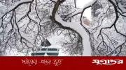 যুক্তরাষ্ট্রে রেকর্ড তুষারপাত: ৫,৭০০ ফ্লাইট বাতিল, ৬ লাখ বিদ্যুৎহীন