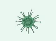 ব্যাকটেরিয়া জীববিজ্ঞান: নেস্টেড হায়ারার্কি থেকে হিস্টোলজি পর্যন্ত গুরুত্বপূর্ণ প্রশ্নোত্তর