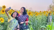 খাগড়াছড়িতে সূর্যমুখী বাগানে টিকিটের ব্যবস্থায় বদলে গেছে চিত্র, দর্শনার্থীদের ভিড়