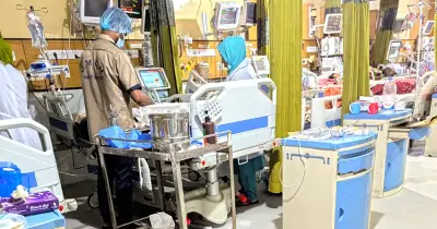 ঢাকার আইসিইউতে ছড়াচ্ছে ওষুধ-প্রতিরোধী 'সুপারবাগ' ক্যানডিডা অরিস, গবেষণায় উদ্বেগ