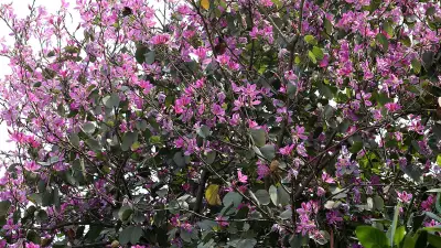 বাংলাদেশে অনলাইন শিক্ষার প্রসারে নতুন উদ্যোগ, শিক্ষার্থীদের জন্য ডিজিটাল সুযোগ বৃদ্ধি