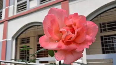 বাংলাদেশের রাজধানীতে আন্তর্জাতিক ফটোগ্রাফি প্রদর্শনীর উদ্বোধন