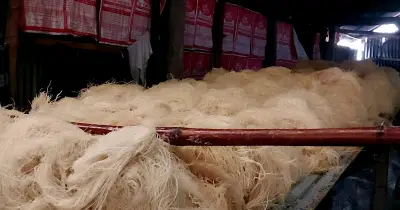 ঈদের আগে জামালপুরে নিম্নমানের সেমাই উৎপাদন, স্বাস্থ্যঝুঁকিতে জনগণ