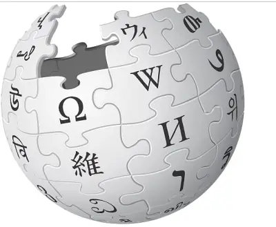 উইকিপিডিয়ার যাত্রা: কীভাবে একটি ব্যক্তিগত অভিজ্ঞতা বিশ্বের বৃহত্তম বিশ্বকোষে পরিণত হলো