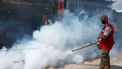 মশার উপদ্রব বেড়ে যাওয়ায় ধোঁয়ার কার্যকারিতা: গবেষণা ও প্রাকৃতিক সমাধান