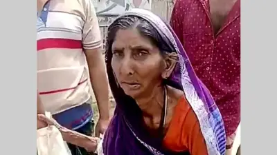 বিভিন্ন খবরের সমাহার: শিক্ষা, রাজনীতি, স্বাস্থ্য ও আন্তর্জাতিক বিষয়ক প্রতিবেদন