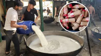 বাংলাদেশের প্রযুক্তি খাতে নতুন সম্ভাবনা: কৃত্রিম বুদ্ধিমত্তা ও রোবটিক্সে বিনিয়োগ বৃদ্ধি