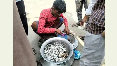 প্রধানমন্ত্রীর ফ্যামিলি কার্ড উদ্বোধন, ইরানের তেল রপ্তানি হুমকি ও স্বর্ণের দাম বৃদ্ধি