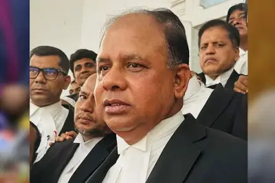 আন্তর্জাতিক অপরাধ ট্রাইব্যুনালে অভিযোগ: জামিনের জন্য ১ কোটি টাকা চাওয়ার অভিযোগে তদন্ত