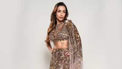 মালাইকা অরোরা ও সোরাব বেদির নাইট ক্লাব ভিডিও ভাইরাল, নেটদুনিয়ায় নতুন প্রেমের গুঞ্জন