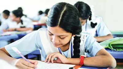 প্রাথমিক বৃত্তি পরীক্ষা ২০২৫: পঞ্চম শ্রেণির সর্বোচ্চ ৪০% শিক্ষার্থী অংশ নিতে পারবে