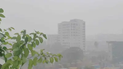 ঢাবি ক্যাম্পাসে নিরাপত্তাকর্মীর ঝুলন্ত মরদেহ উদ্ধার, আকাশ মেঘলা ও তাপমাত্রা অপরিবর্তিত