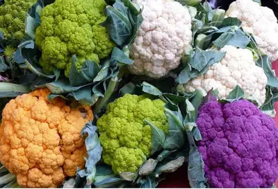 ফুলকপির স্বাদে ও জীবনবোধের গল্প: আহসান পরিবারের একাকিত্ব ও আধ্যাত্মিক ভাবনা