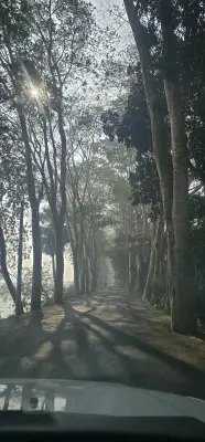 বাংলাদেশের দৈনন্দিন জীবনের রূপচিত্র: প্রকৃতি থেকে নাগরিকতা পর্যন্ত