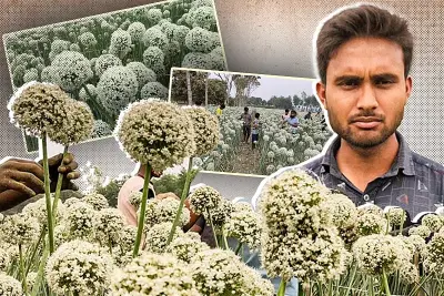 বাংলাদেশে অনলাইন শিক্ষার নতুন সম্ভাবনা: প্রযুক্তির মাধ্যমে শিক্ষার প্রসার