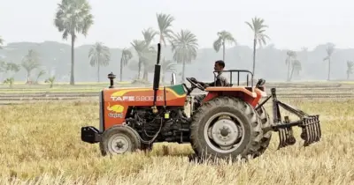 কৃষি ঋণ মওকুফের ইতিহাস: সরকারের নতুন সিদ্ধান্তে ১২ লাখ কৃষকের স্বস্তি, কিন্তু কাঠামোগত সংস্কার ছাড়া স্থায়ী সমাধান নয়