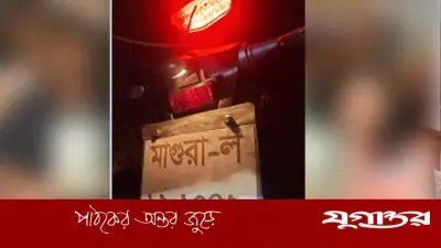 মাগুরায় ঝড়ে গাছের ডাল ভেঙে পড়ে দুই যুবকের মর্মান্তিক মৃত্যু