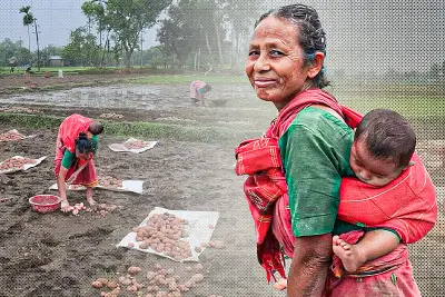 বাংলাদেশে অনলাইন শিক্ষার সম্ভাবনা ও চ্যালেঞ্জ নিয়ে নতুন প্রতিবেদন প্রকাশ