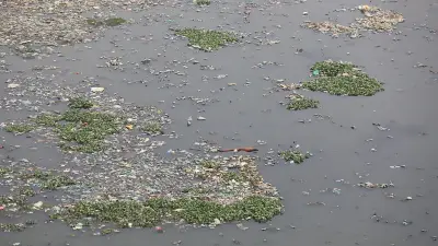 সুরমা নদীর পরিবেশ বিপর্যয়: ময়লা-আবর্জনা ও চর জাগার চিত্র