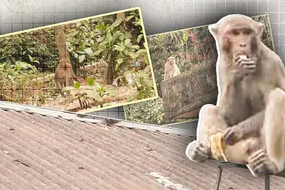 বাংলাদেশে অনলাইন শিক্ষার অগ্রগতি: নতুন সম্ভাবনা ও চ্যালেঞ্জ