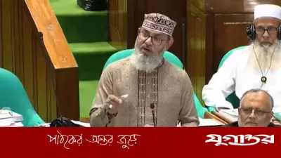 মাসুদ সাঈদীর জবাব: জুলাই সনদকে আবেগ বললে হবে না, সংবিধান সংস্কার জরুরি