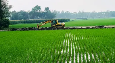 ঢাকার নবাবগঞ্জে রাতের আঁধারে কৃষিজমির মাটি কাটার অভিযোগ, পরিবেশ আইন লঙ্ঘন