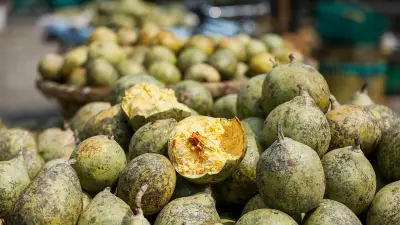 বেলের বাণিজ্য: আড়তে পাকা বেলের সংগ্রহ থেকে ভ্রাম্যমাণ বিক্রেতার হাত পর্যন্ত