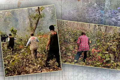 বাংলাদেশে অনলাইন শিক্ষার নতুন সম্ভাবনা: প্রযুক্তির মাধ্যমে শিক্ষার প্রসার