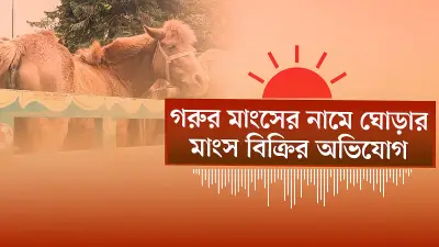 প্রথম আলোর ভিডিও বিভাগে বাংলাদেশের নতুন সংবাদ প্রকাশিত হয়েছে