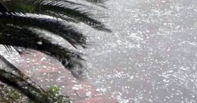 আগামী চারদিন দেশজুড়ে বজ্রসহ শিলাবৃষ্টির পূর্বাভাস, আবহাওয়া অধিদপ্তর সতর্ক