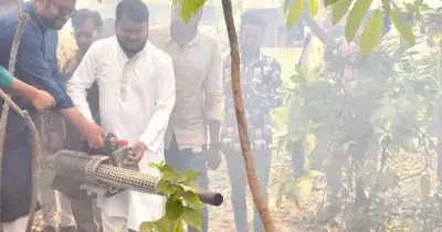 রাজশাহীতে মশা নিধনে ১৫ দিনের বিশেষ অভিযান শুরু