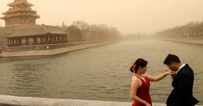 চীনের বিশ্ববিদ্যালয়ের অভিনব আহ্বান: পড়াশোনা বাদ দিয়ে ফুল দেখুন, প্রেমে পড়ুন