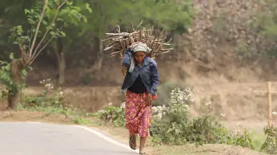 ঈদ উদযাপনের প্রস্তুতি ও বৃষ্টির ভোগান্তি: দেশজুড়ে নানা চিত্র
