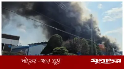 দক্ষিণ কোরিয়ায় গাড়ি কারখানায় অগ্নিকাণ্ডে ১১ জনের মৃত্যু, আহত ৫৯