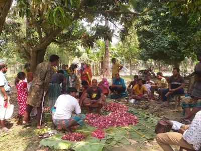 রাজশাহীতে মাংস সমিতির মাধ্যমে রোজার ঈদে গরু-খাসি জবাই ও মাংস বন্টন