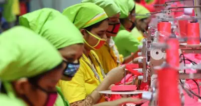 ইইউতে বাংলাদেশের পোশাক রপ্তানি ২৫% কমেছে, মূল্য ও চাহিদা সংকটে উদ্বেগ