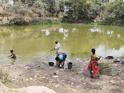 নওগাঁর বরেন্দ্রে পানির স্তর উদ্বেগজনক হারে নিচে, সংকটে জনজীবন