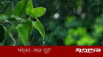 বৃষ্টির পর ফিরেছে শীতের আমেজ, আবহাওয়ায় হঠাৎ পরিবর্তনের পূর্বাভাস