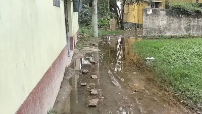 মাধবপুরে বৃষ্টিতে পানি বন্দি সংঘর্ষে বৃদ্ধ নিহত, ইরানে বিস্ফোরণে হাসপাতাল আক্রান্ত