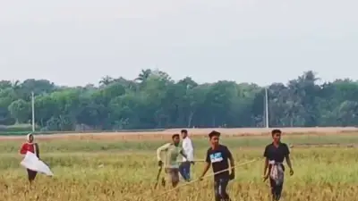 কুষ্টিয়ায় ছিপি ছোড়া সংঘর্ষে আহত ৭, লক্ষ্মীপুরে হামলায় নিহত ১, যুক্তরাষ্ট্রের ভিসা স্থগিতের কারণ