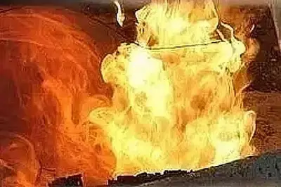 রায়েরবাজারে সাদেক খান কৃষি মার্কেটে আগুন: ৪৬ দোকান পুড়ে গেছে, বৈদ্যুতিক শর্টসার্কিট সন্দেহ