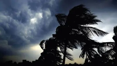 বৈদ্যুতিক শর্ট সার্কিটে ২৪ দোকান পুড়ে ছাই, প্রধানমন্ত্রীর ডাকটিকিট উন্মোচন ও বাজেট আসছে